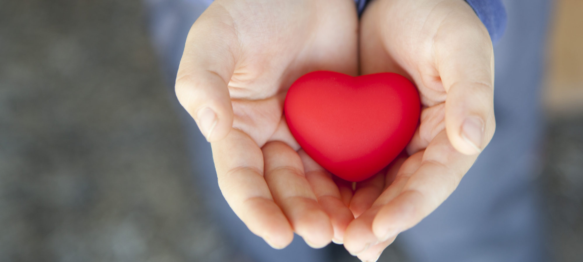 Heart in holding hands