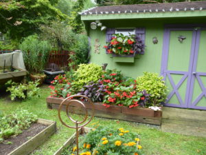 Garden with shed