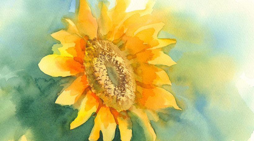 Sunflower Watercolor Image