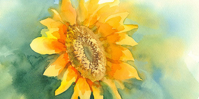 Sunflower Watercolor