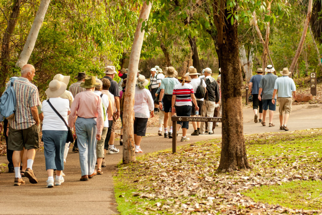Group of Baby Boomers seniors walking on a path