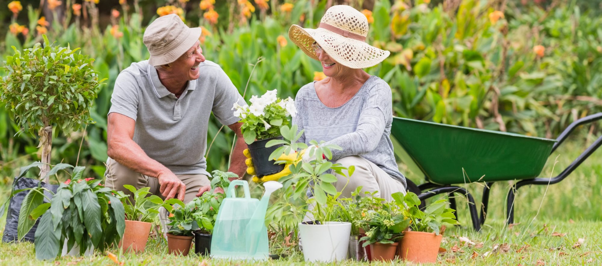 The Many Benefits of Gardening From the Barclay Blog