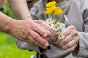 Hands holding flowers